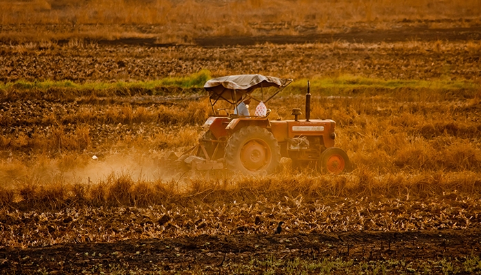 Substitution SAFER : le cahier des charges prévoyant la conclusion d’un bail rural doit être respecté